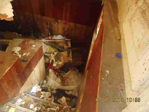 13117 Jane (6)_m.jpg